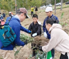 グループごとにコナラの苗木を受け取ります