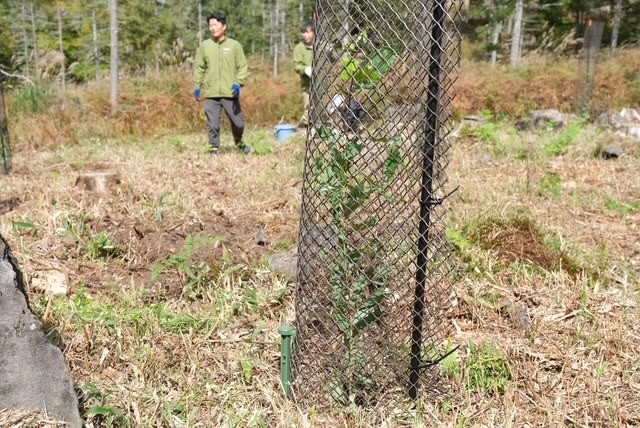 小さな手で植えた未来へつながる木が10年後大きな森になりますように…