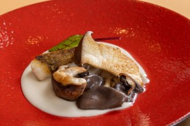 宮崎県産魚介と信州茸　白ワインのソース